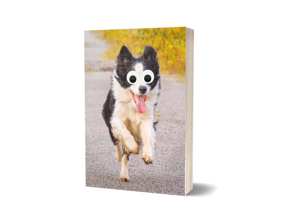 Border Collie Journal Notebook