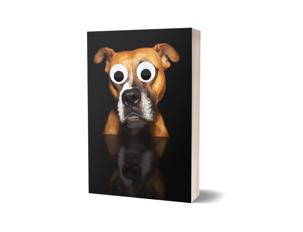 Boxer Journal Notebook